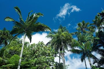 Cairns Australië