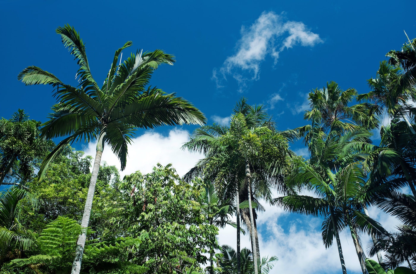 Cairns Australië