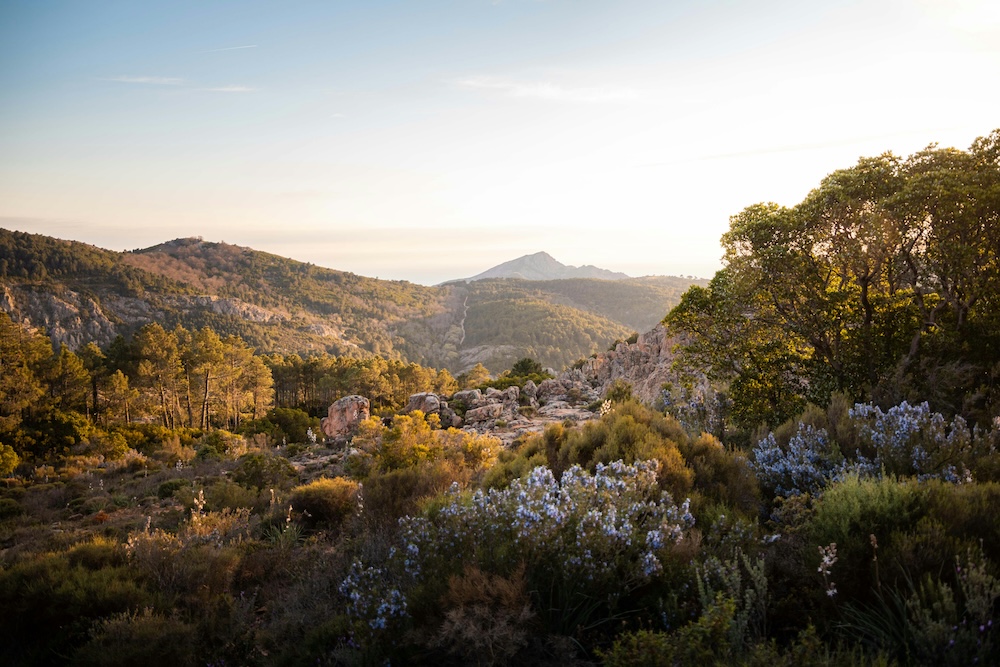 Calanques de Piana, corsica