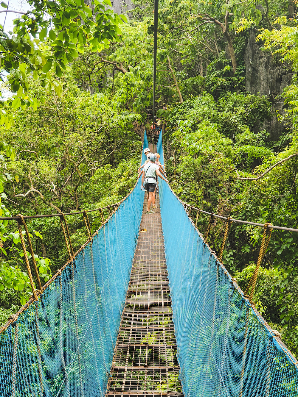 Canopy Walk