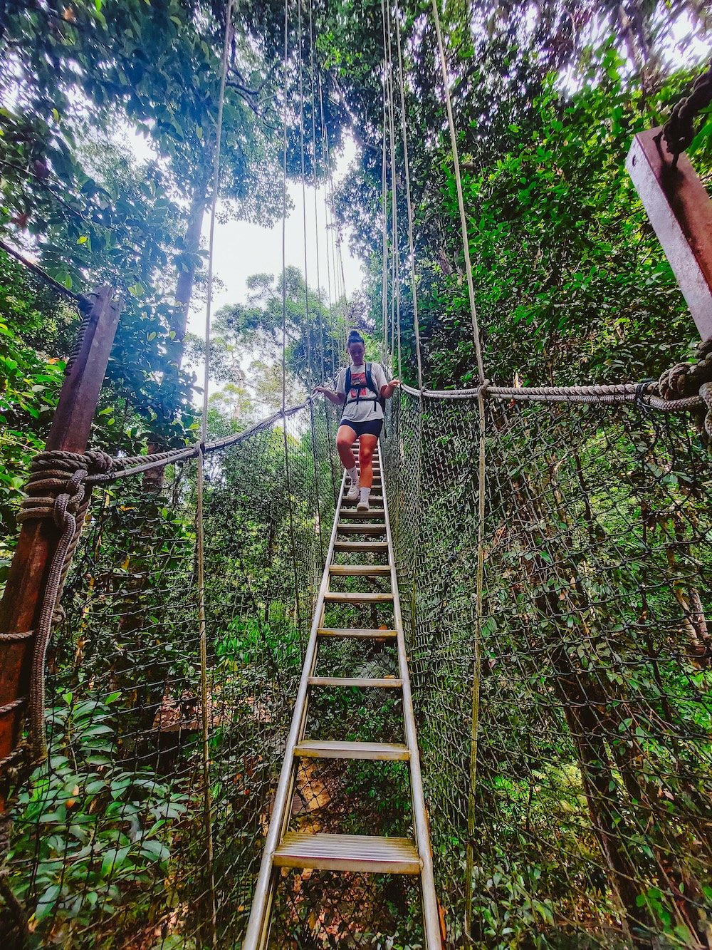 Canopy walk