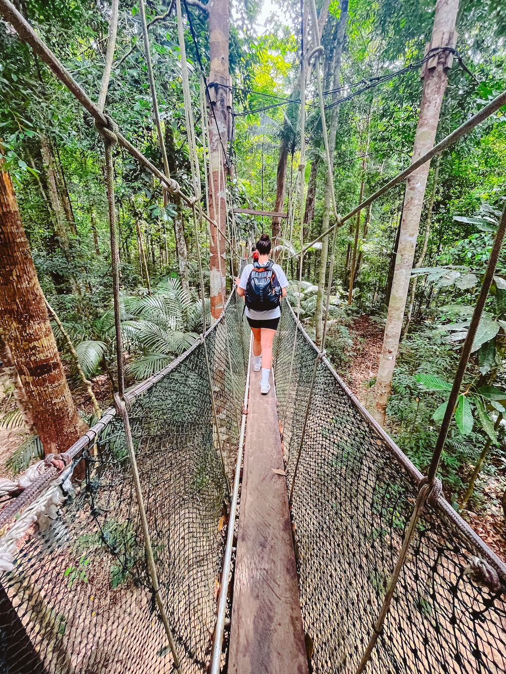 Canopy walk in Taman Negara