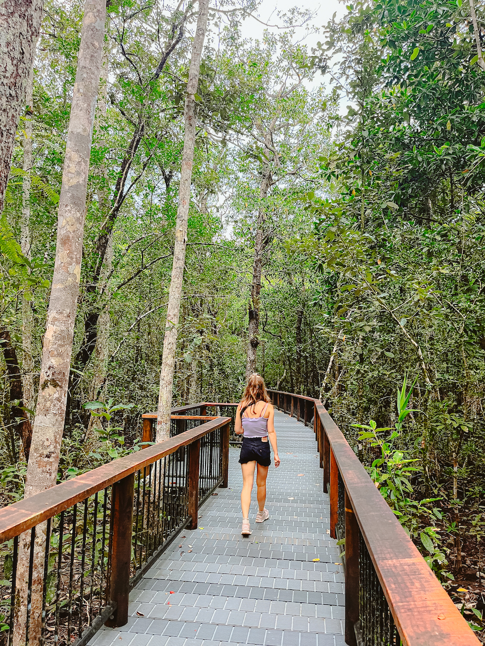 Cape Tribulation Cairns