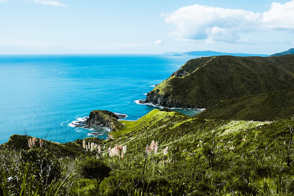 Cape-reinga