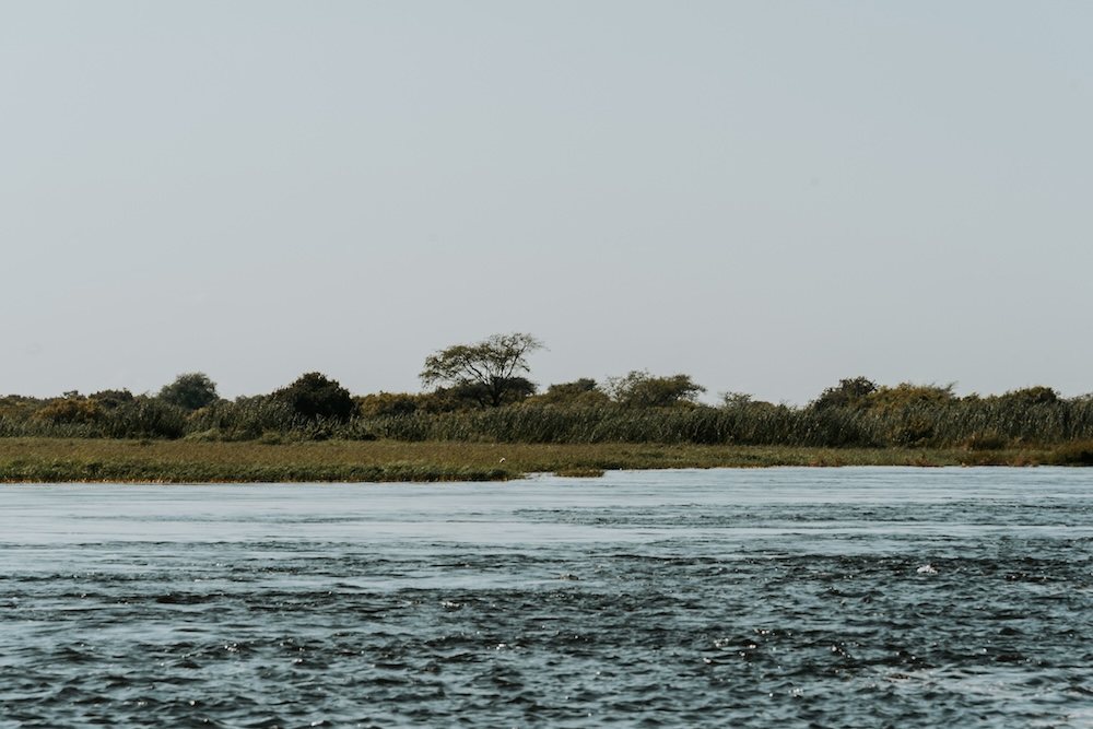 Capivristrook, natuur Namibie