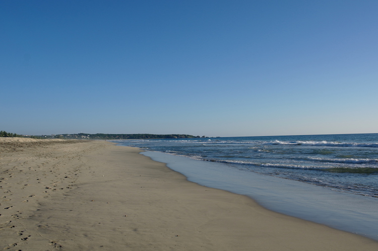 Centraal Mexico Puerto Escondido