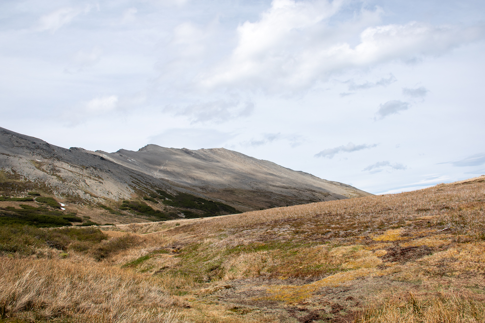 Cerro Guanaco