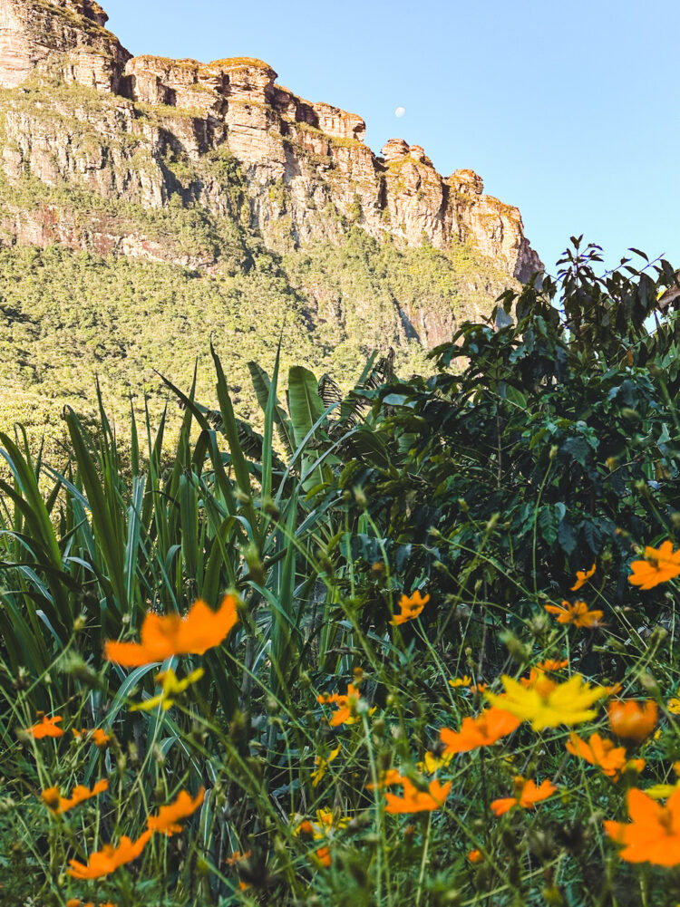 Chapada Diamantina-19