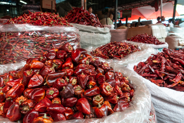 Chengdu Tibet reizen eten