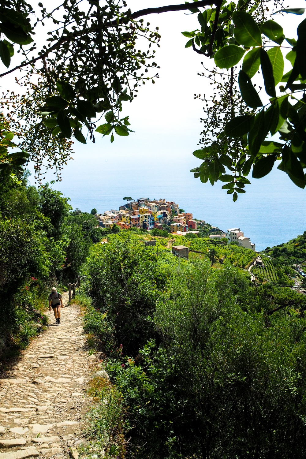 Cinque Terre wandelen