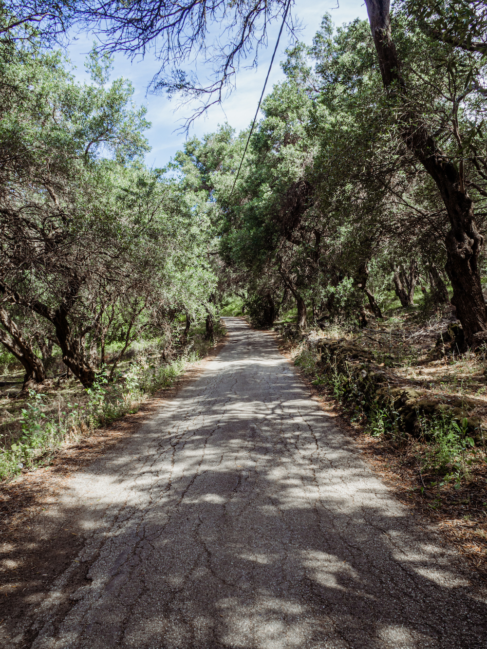 Corfu tips Huur een auto en ontdek Corfu