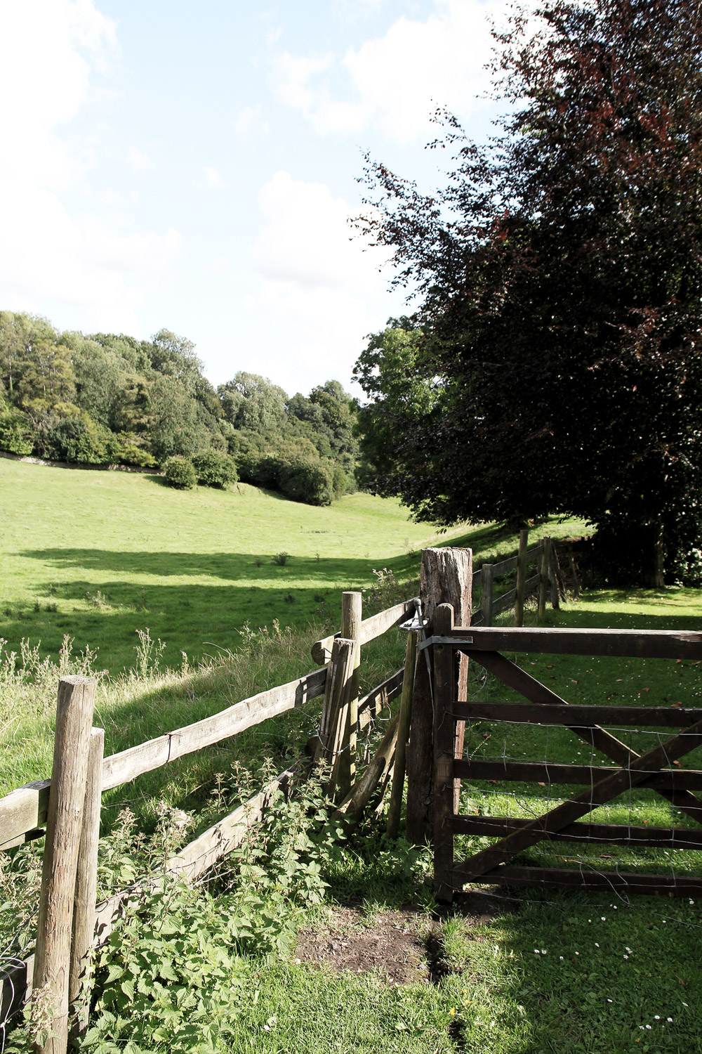 Cotswolds engeland landschap