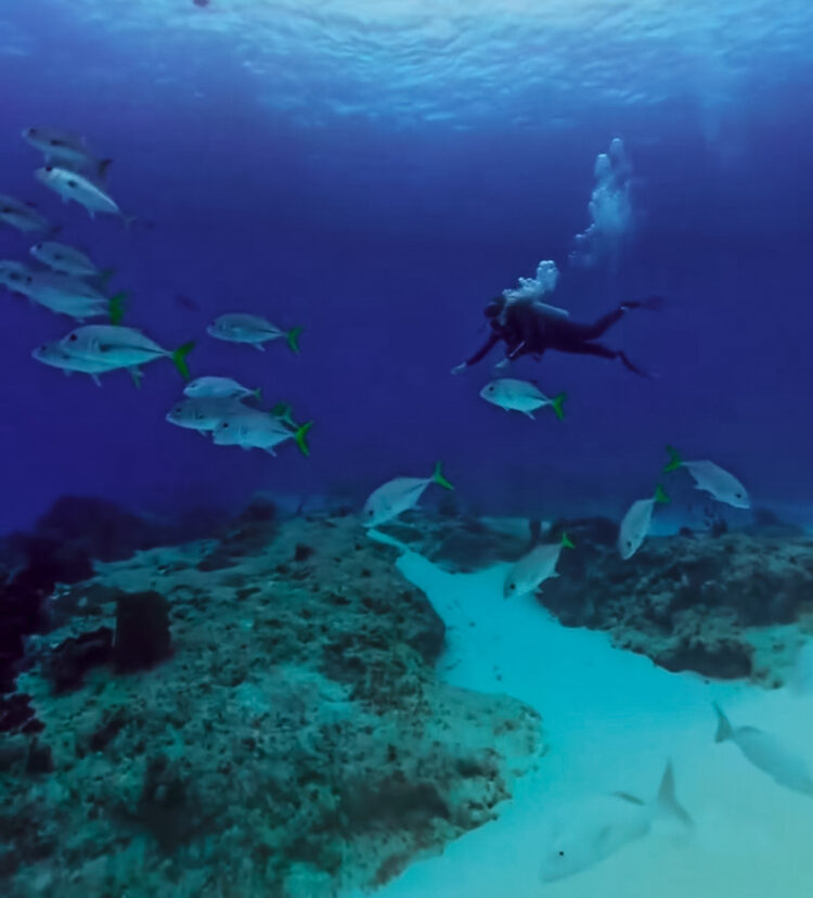 Cozumel diving