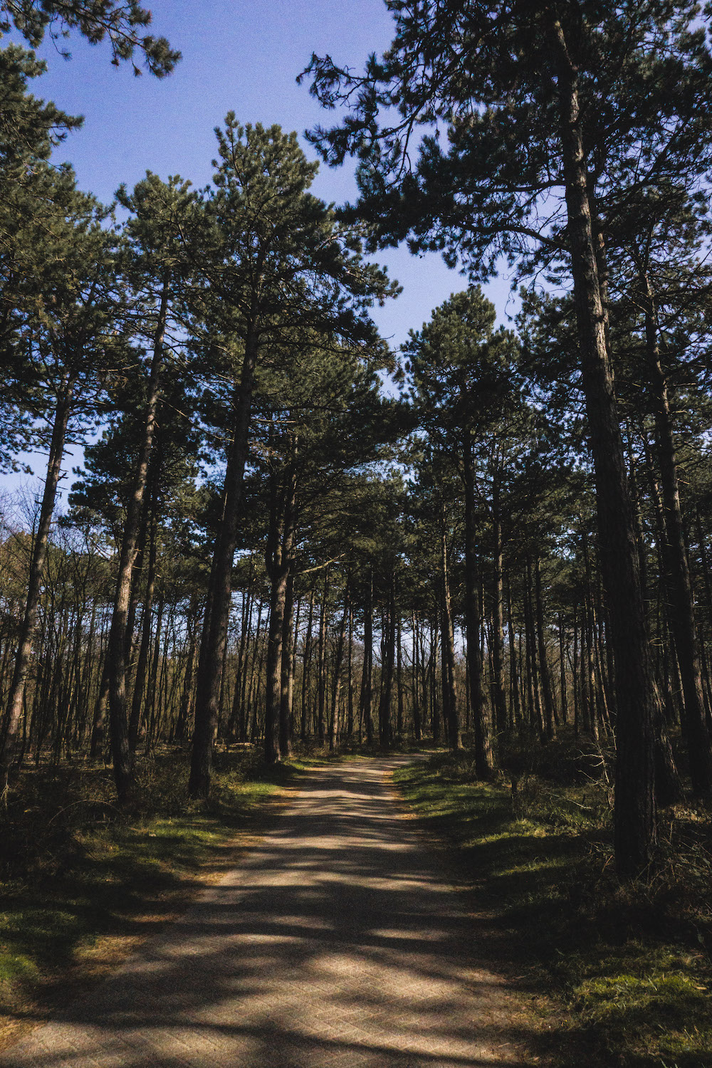 Wandelen in het Noordhollands Duinreservaat