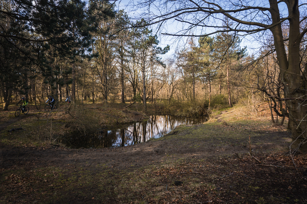 Fietsen in het Noordhollands Duinreservaat