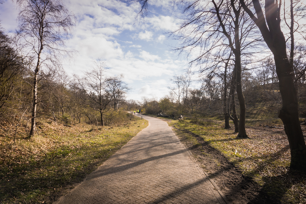 Bezoek het Noordhollands Duinreservaat