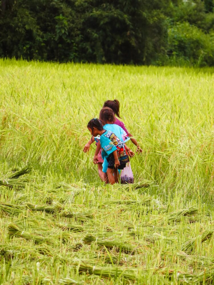 Dag 2, Thakhek loop