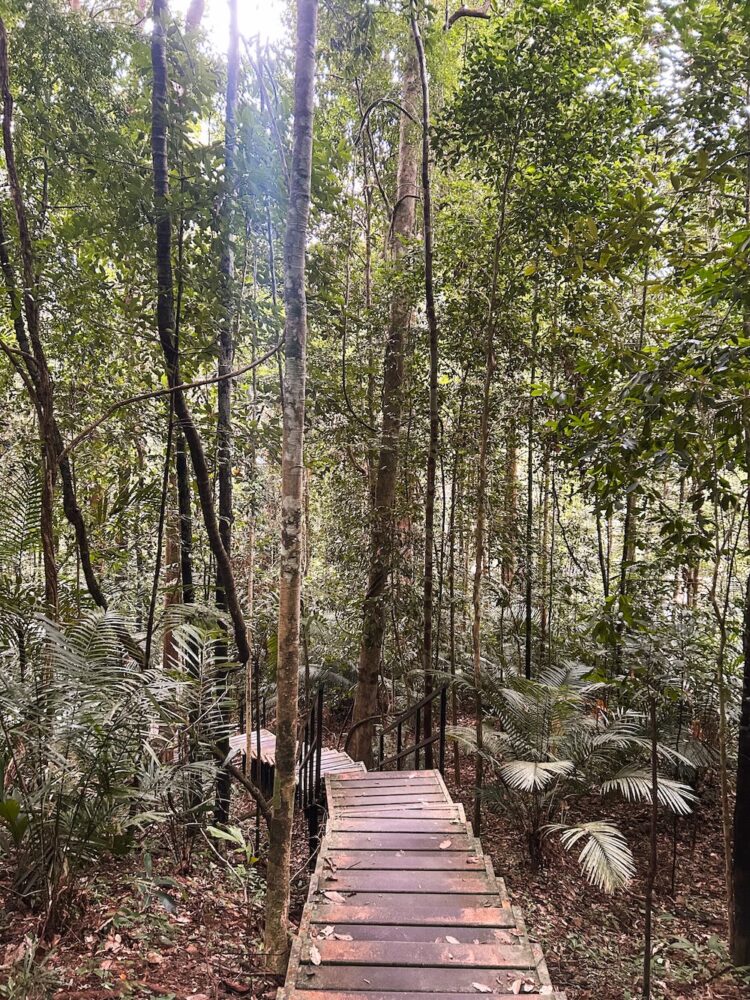 Dagtour Taman Negara National Park