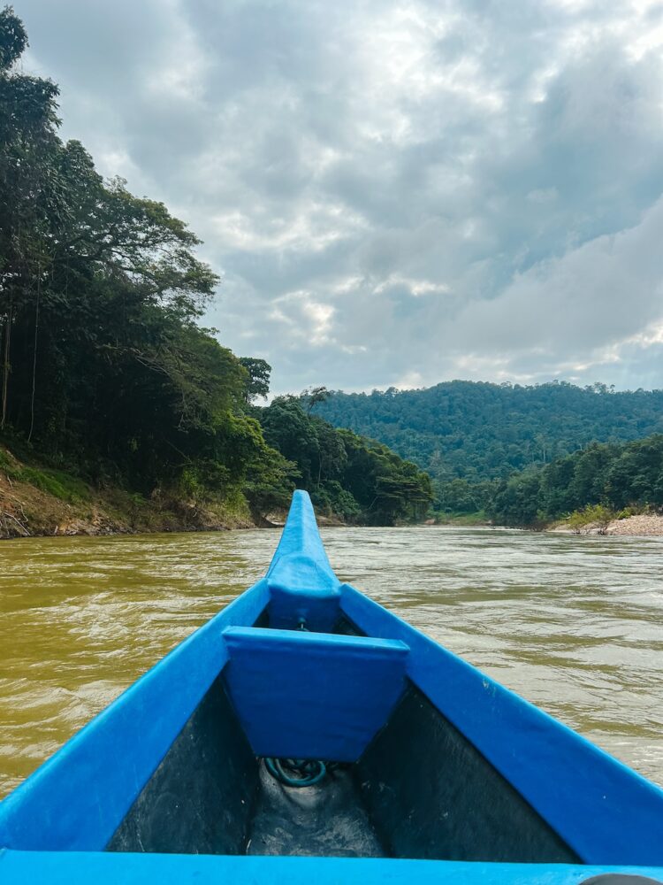 Dagtour bootje Taman Negara National Park