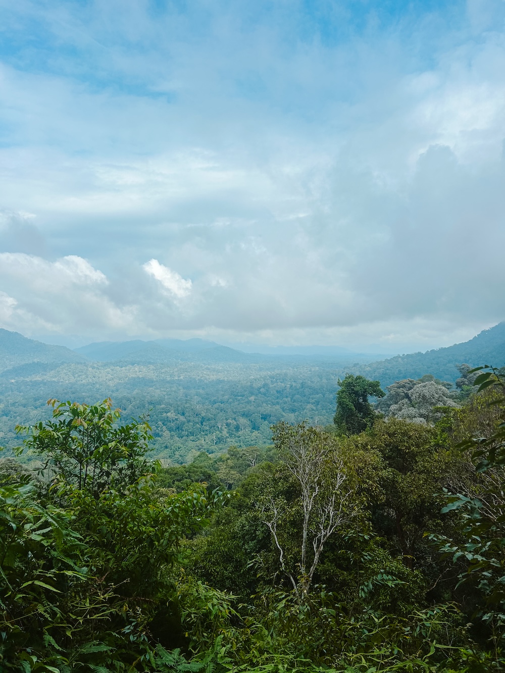 Dagtour viewpoint