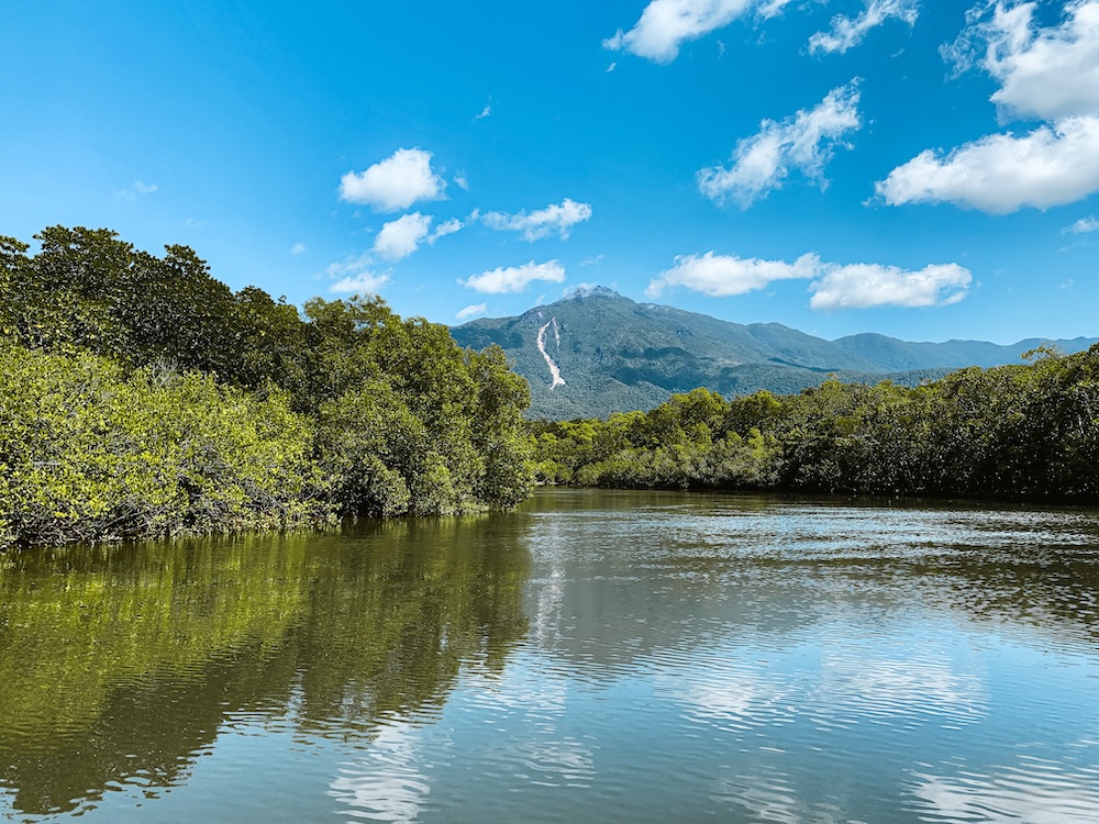 Daintree natuur, australie oostkust