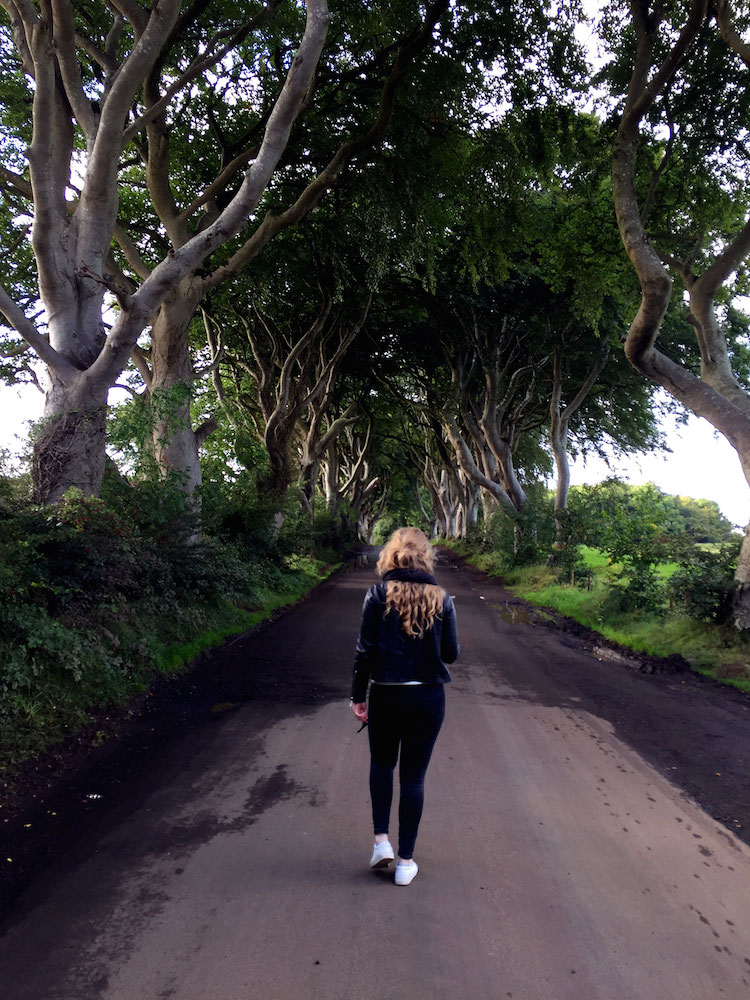 Dark-Hedges-1