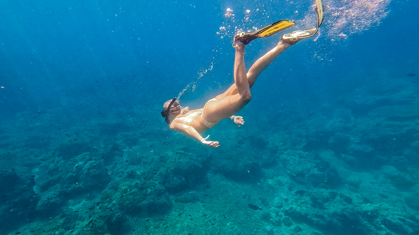 Daymaniyat oman snorkelen