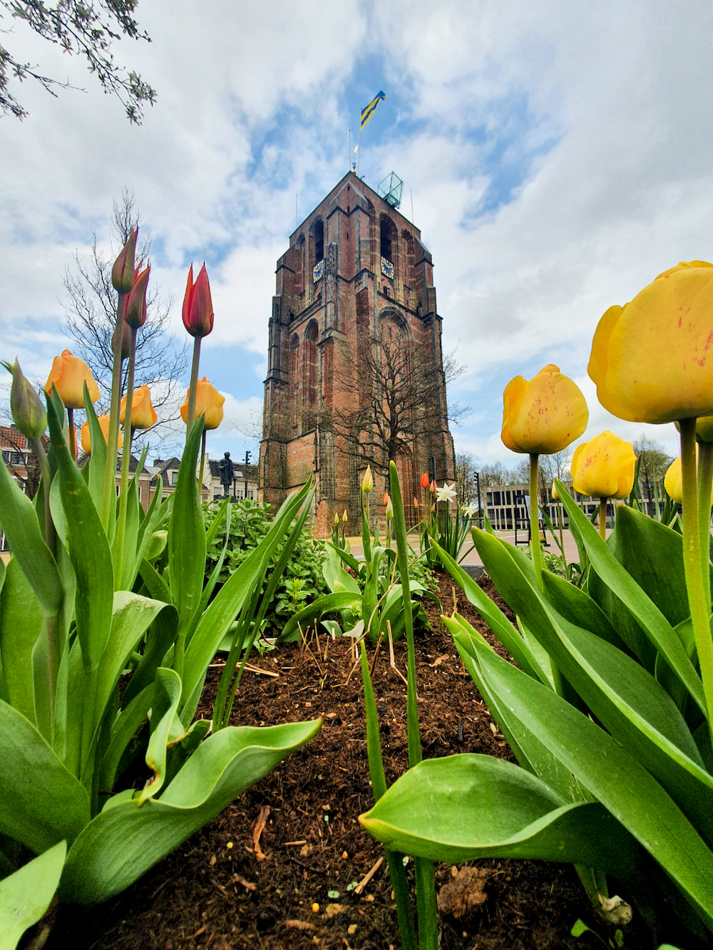 De bezienswaardigheid van Leeuwarden, Oldehove