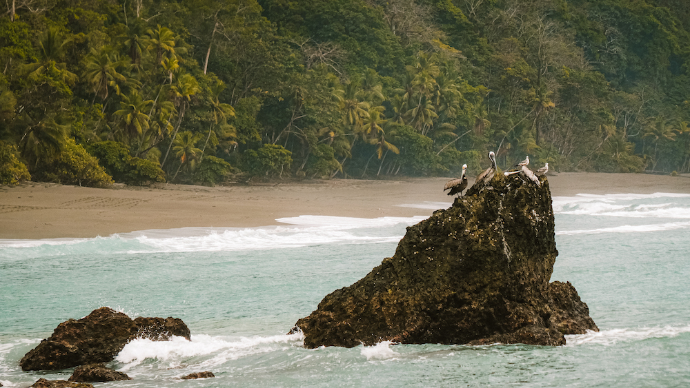 De kust bij Corcovado National Park