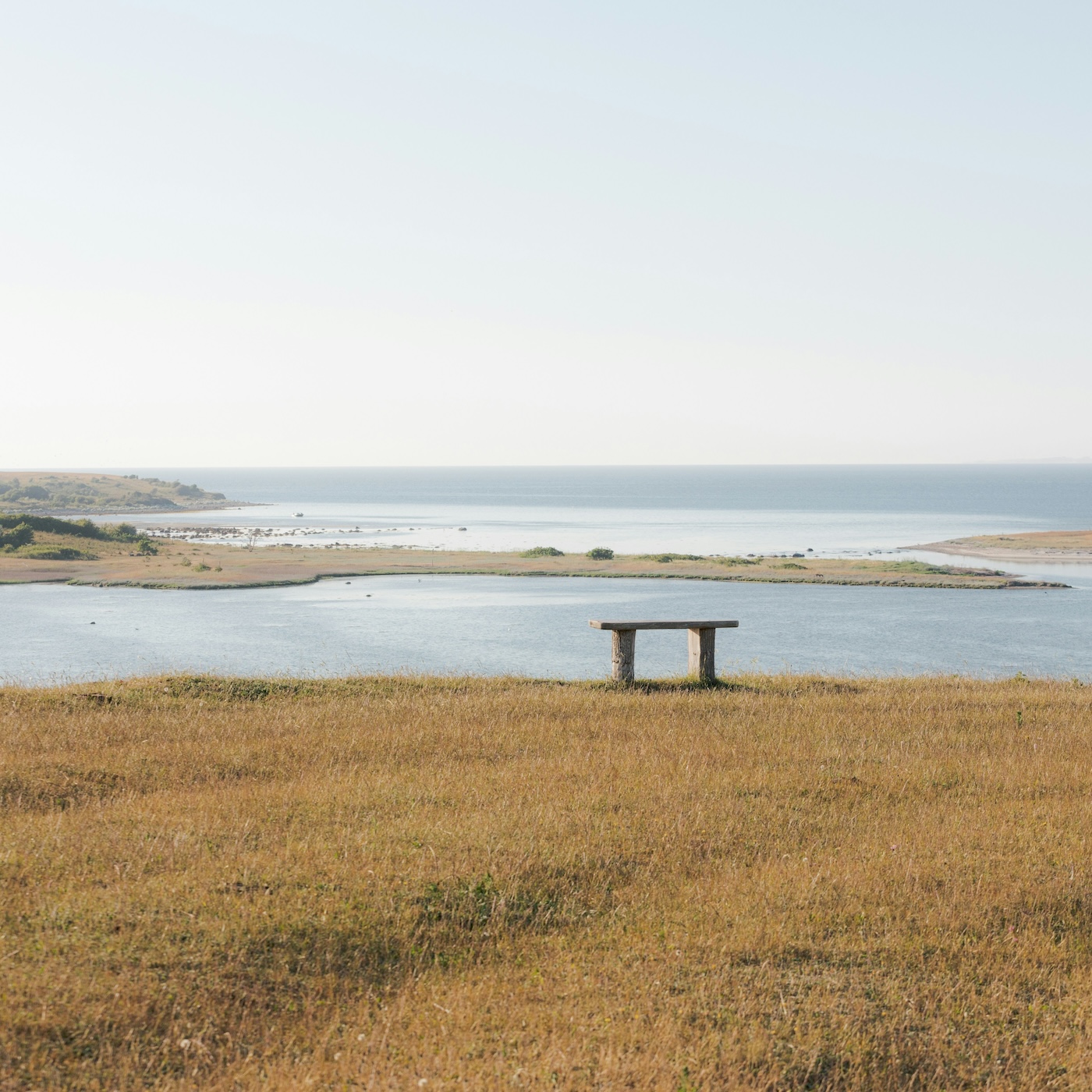 Deens landschap natuur