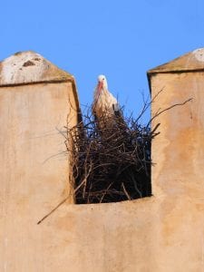 Doen in omgeving marrakech marokko