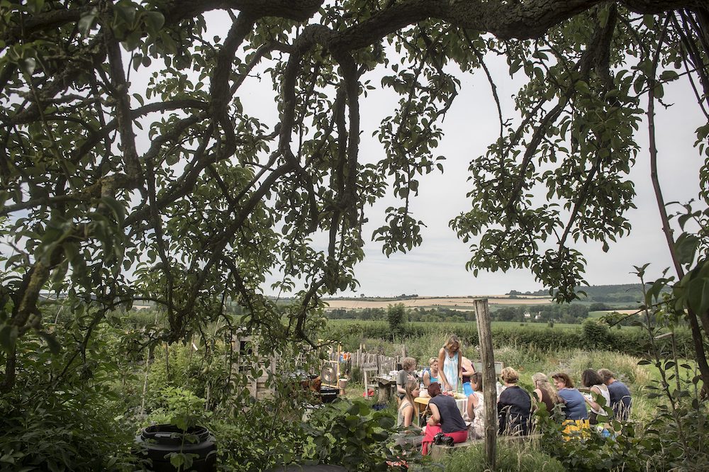 Domein Holset, Wijngaard Limburg