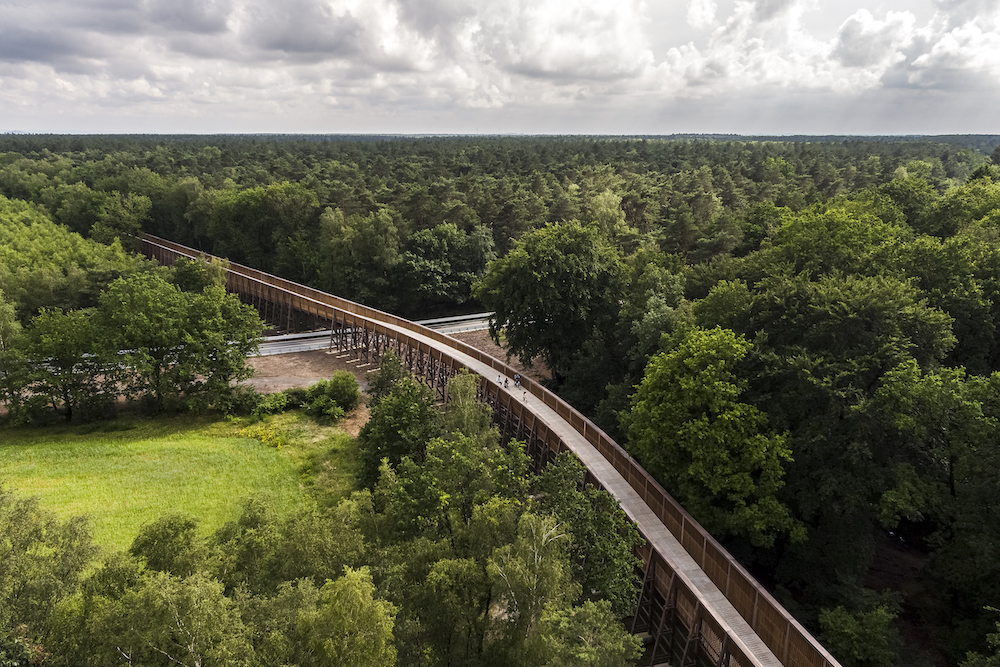 Door de heide