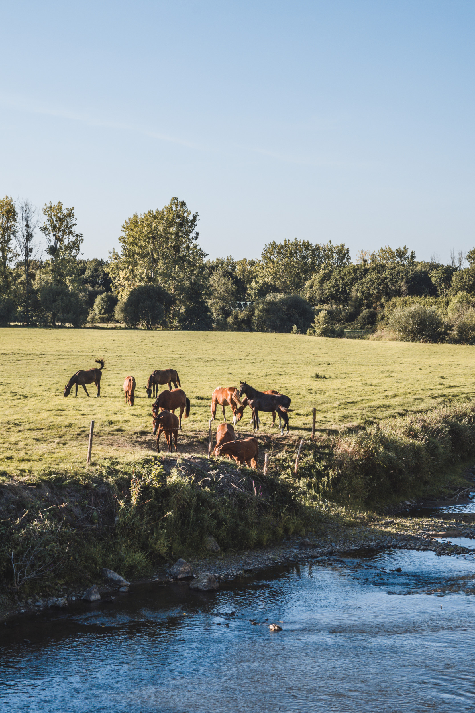 Ducey landschap