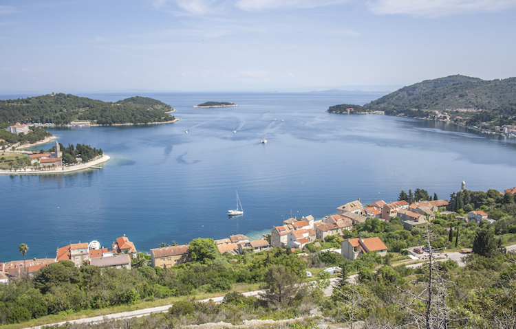 Eiland vis zeilen activiteiten viewpoint