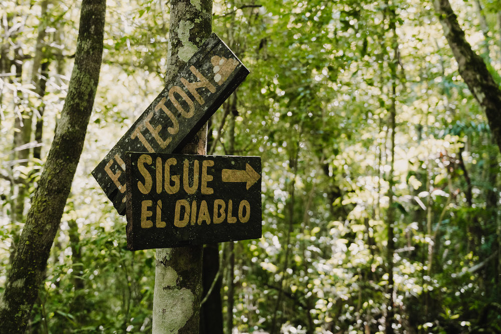 El Zotz Guatemala Sigue El Diablo