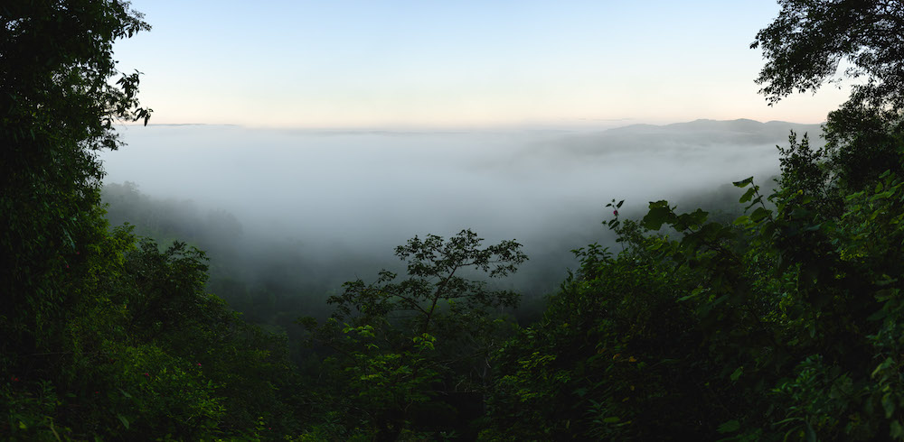 El Zotz guatemala jungle