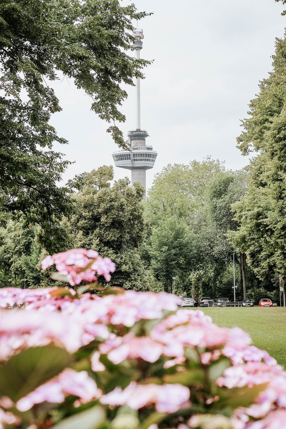 Euromast