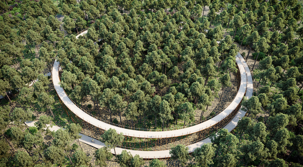 Fietsen Belgisch Limburg, door de_bomen