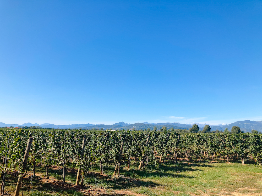 Franciacorta Turra, Brescia Italië