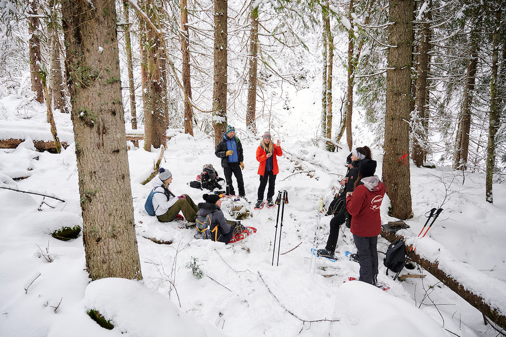 Franse Alpen, Shinrin-yoku bosbaden