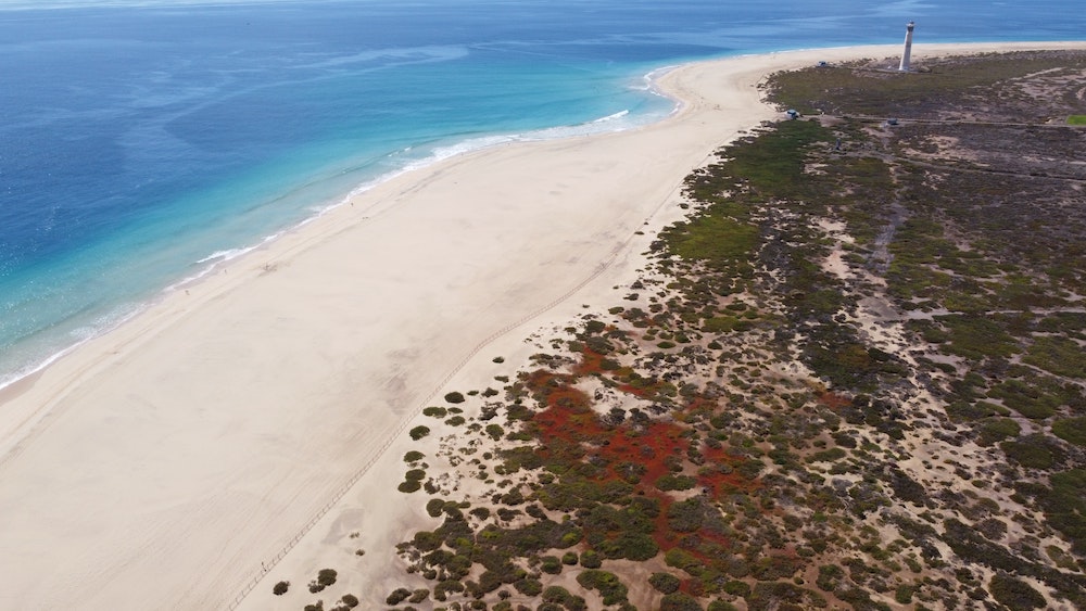 Fuerteventura Vakantie canarische eilanden