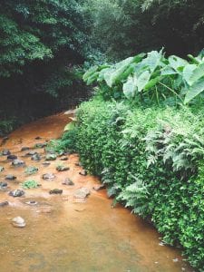 Furnas Poça da Dona Beija Azoren