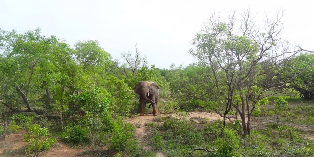 Ga op rondreis door Ghana