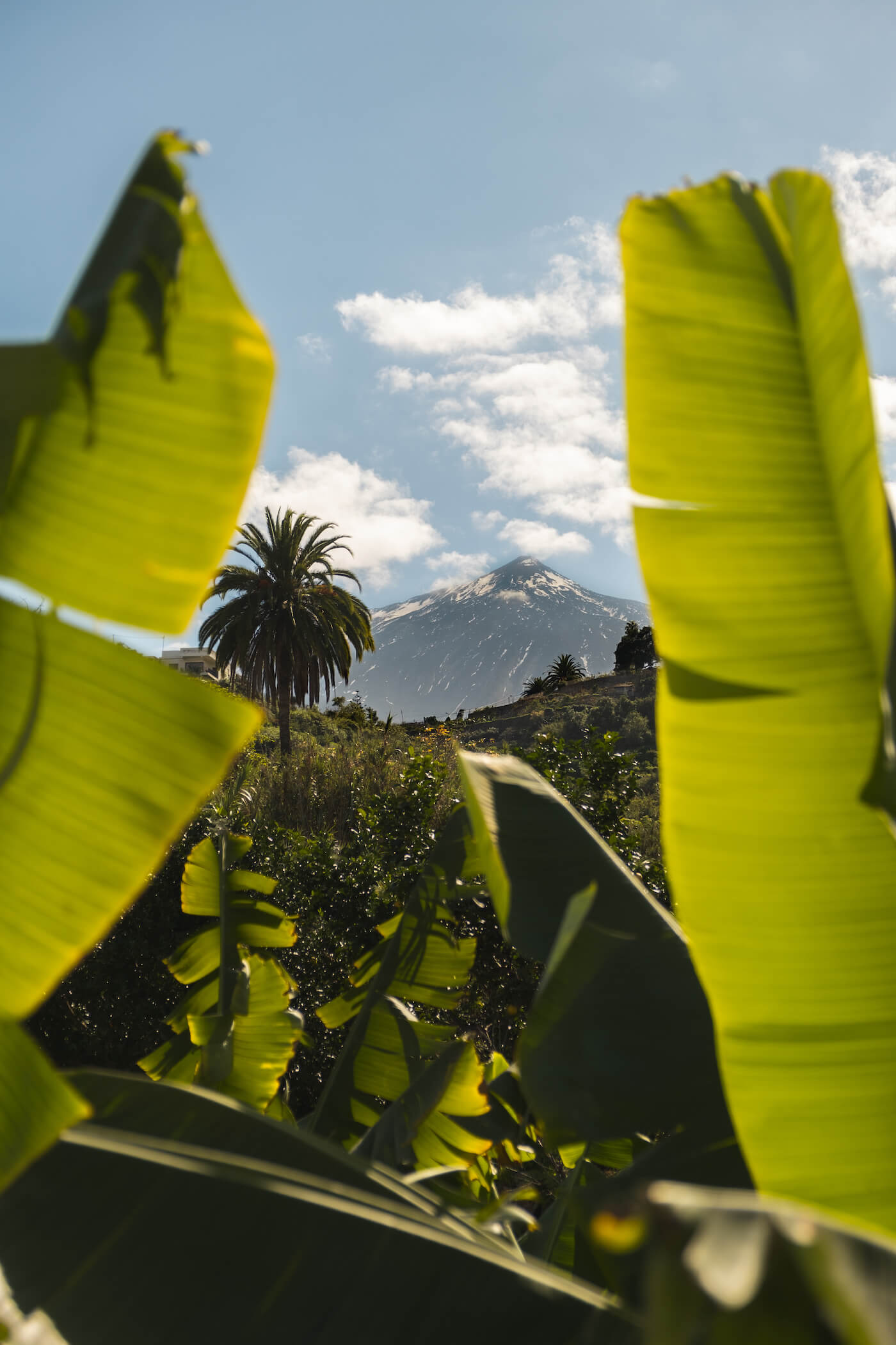 Garachico Tenerife