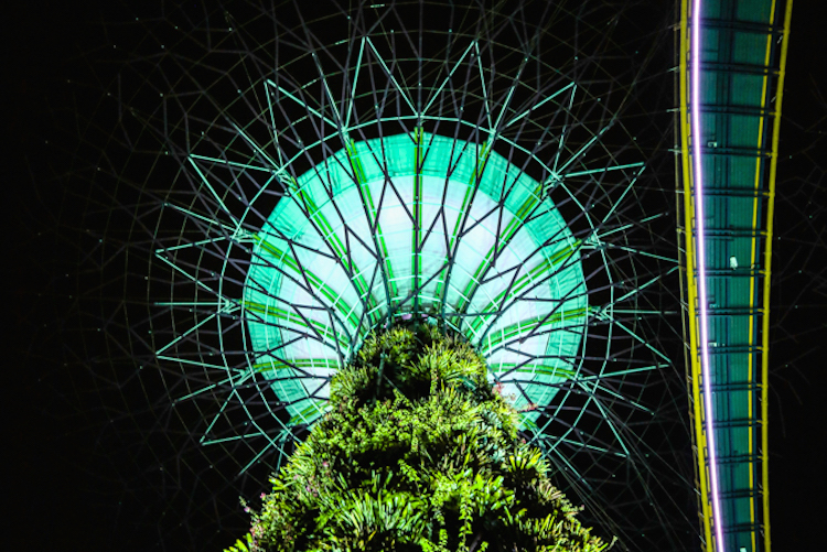 Gardens by the bay show singapore trees