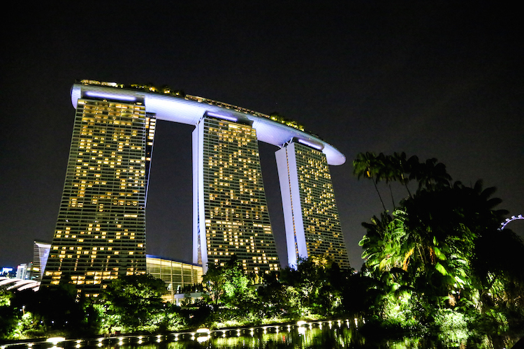 Gardens by the bay show