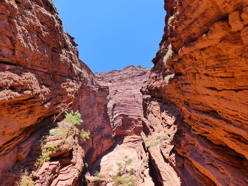 Garganto del Diablo, Salta