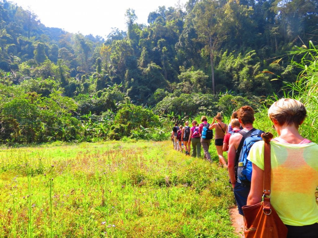 Gibbon Experience in Laos Iris Timmermans