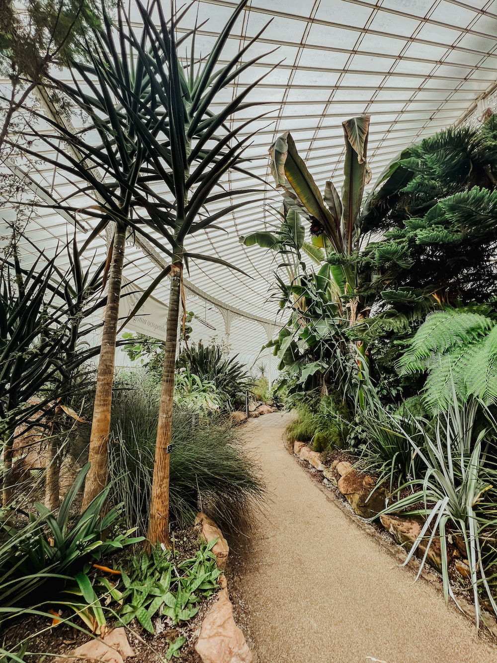 Glasgow botanic gardens tips stedentrip